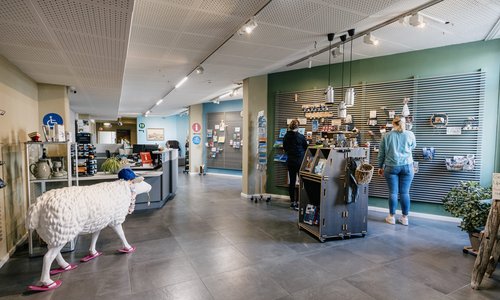 Nordfriesland_Nordstrand_MR_240620_120