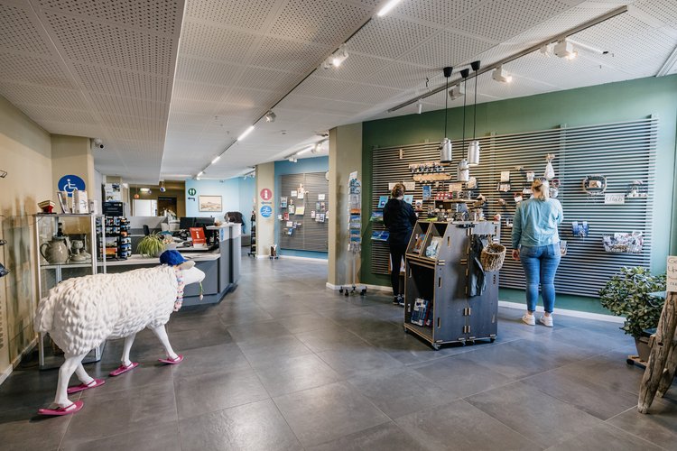 Nordfriesland_Nordstrand_MR_240620_120