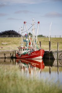 Nordfriesland_Nordstrand_MR_240620_67