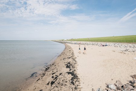 Holmer  Siel