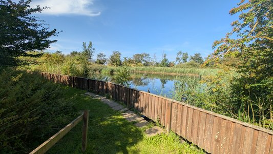 PXL_20250811_135156950