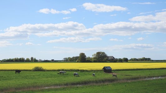 e98080e1-cad2-4986-b7b1-2e97420ce7e3